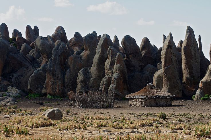 Bale Mountains Scenic Trek